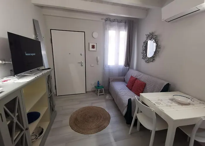 Domu Noa オルビア